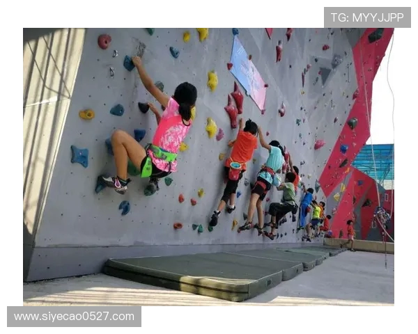 上海攀岩队力量表现数据分析揭示训练效果与运动员潜力