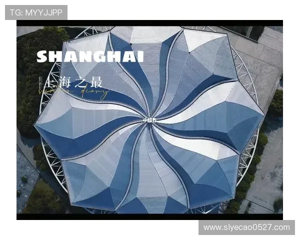 上海网球队转型之路：从传统强队到现代化竞技新模式的深度分析