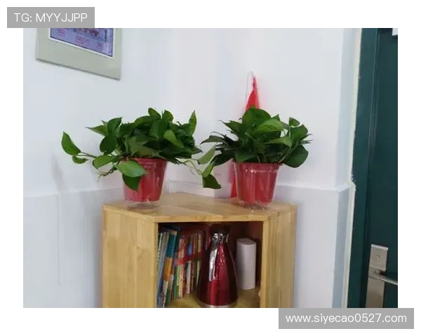 与刘芳畅聊CSGO职业生涯的点滴与挑战