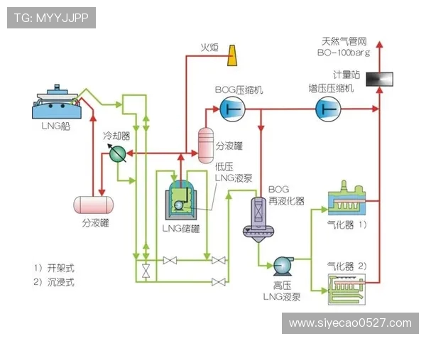 专业解析LNG市场的控制策略与应对措施探讨
