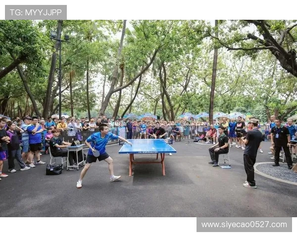 乒乓球专题：深入探讨广州乒乓球队的团队协作与默契配合之道