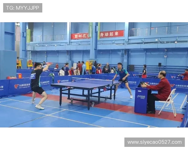 乒乓球耐力榜单揭晓北京乒乓球队荣登第七位引发关注