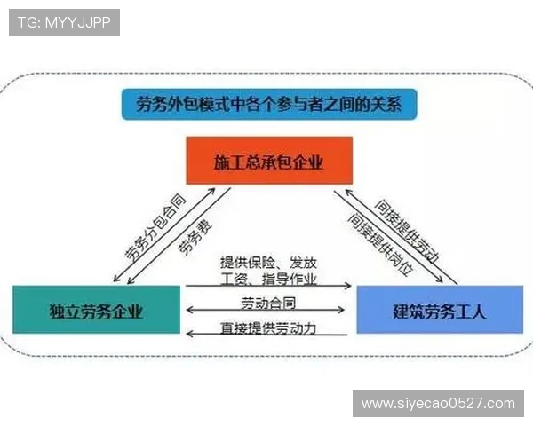 北京排球队个人能力分析与战术配合的深度探讨 北京排球队个人能力分析与战术配合的深度探讨