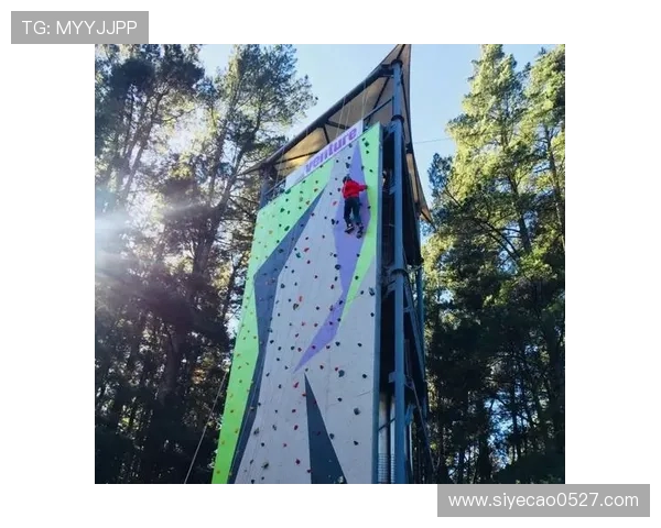 张秀英亲述攀岩技巧与心路历程分享，助你征服高峰