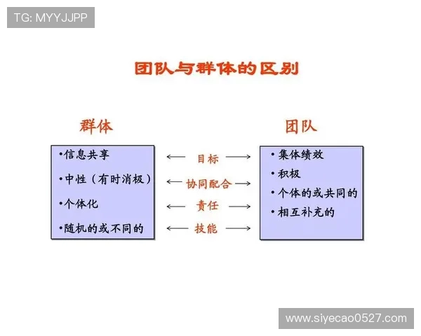 西安篮球队个人能力提升之路与团队协作的完美结合探讨