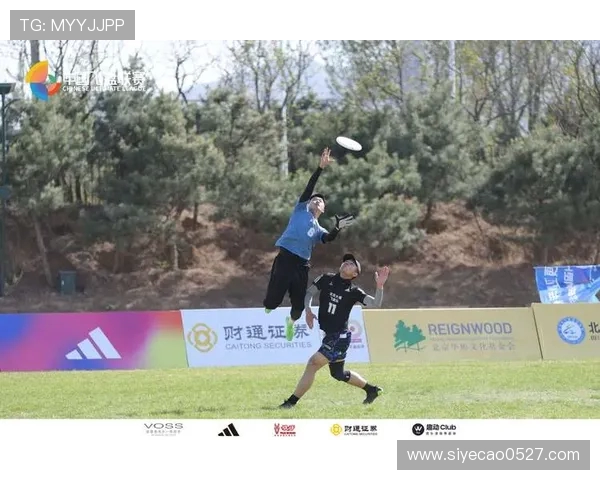 赛后分析：北京飞盘队与广州飞盘队的战术意识与表现对比