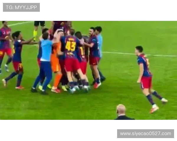 欧洲杯激战瑞典对决法国谁能在绿茵场上笑傲群雄