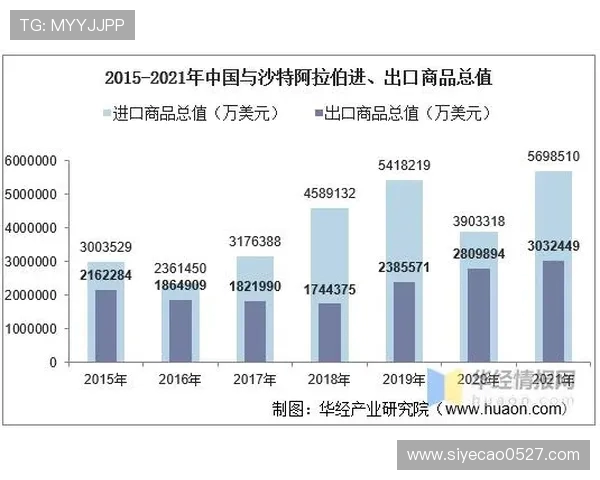 沙特与埃及贸易往来分析及其对双方经济盈亏的影响探讨