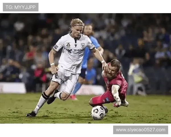 波黑与塞内加尔足球对决深度分析及战术解析