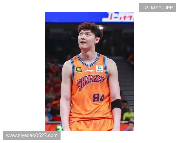 王哲林领衔中国男篮新征程展现实力与决心的时代篇章