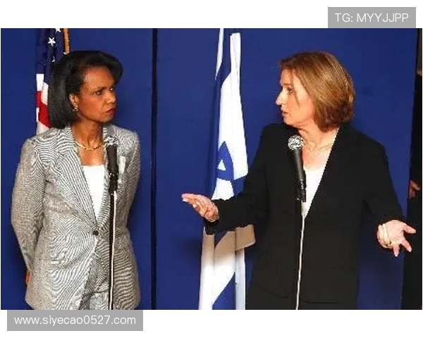 赖斯的外交智慧与全球影响力分析：重塑国际关系的新视角