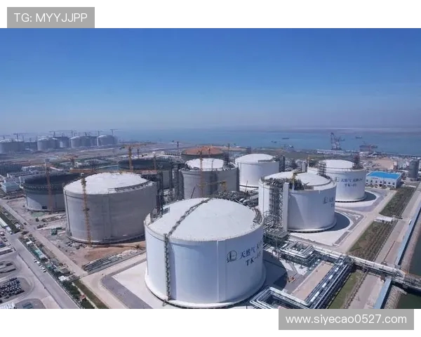 LNG在大师赛中的状态分析与表现评估探讨