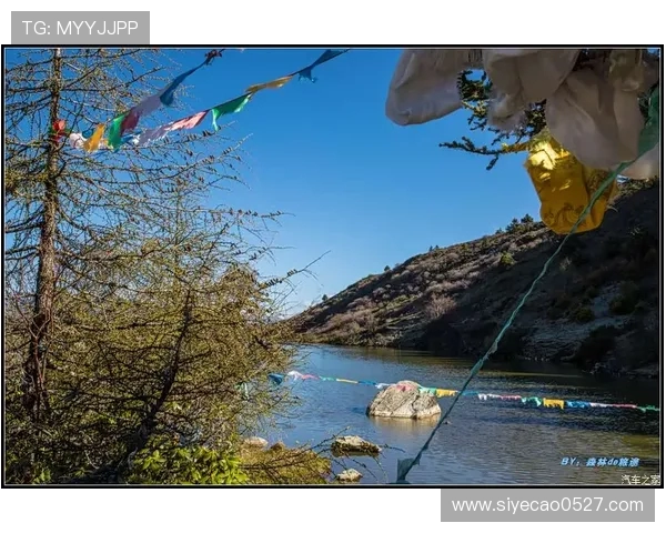 TES在冠军杯中的个人能力分析与表现评估 TES在冠军杯中的个人能力分析与表现评估
