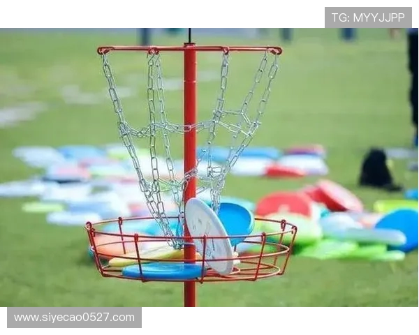 上海飞盘队在比赛中的整体表现分析与战术得失探讨