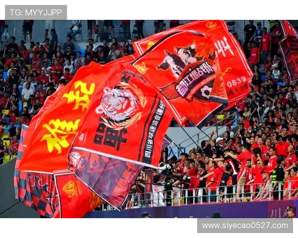 成都排球队战术变革引发热议助力球队重塑辉煌之路