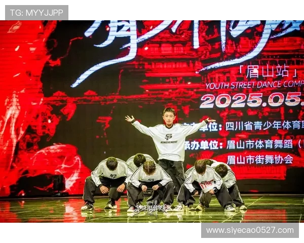 成都街舞队在世界街舞大赛中的精彩表现与比赛经验深度解析