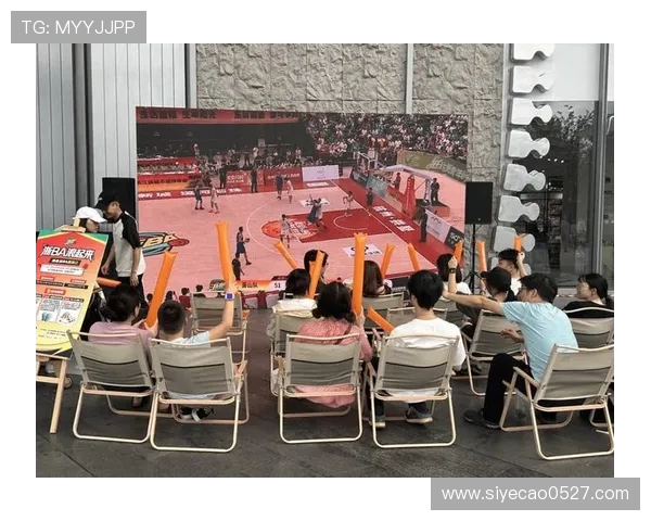 杭州排球队的灵活性探讨与战术创新之路